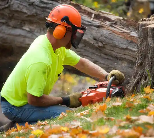 tree services Baxter Estates